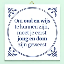 Ditverzinjeniet Tegeltjes|Tegeltje Jong en dom