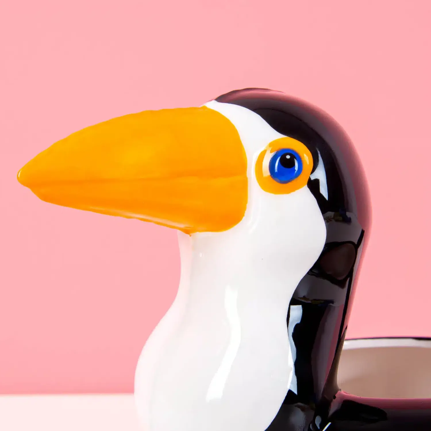 Ditverzinjeniet Bloempotten|Toekan zwemband potje