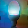 Ditverzinjeniet Verlichting|Toiletverlichting