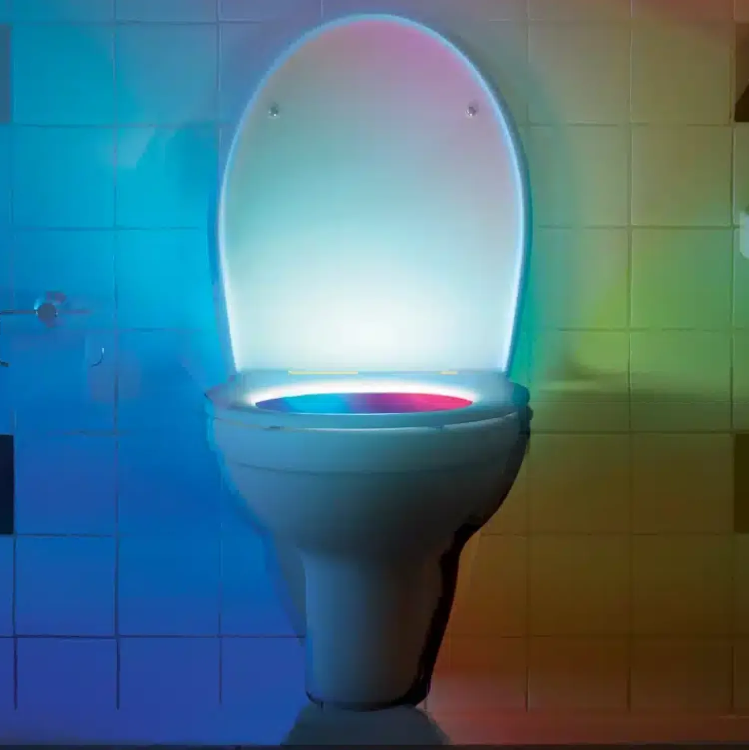 Ditverzinjeniet Verlichting|Toiletverlichting