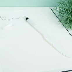 Ditverzinjeniet Kantoor|Veer pen