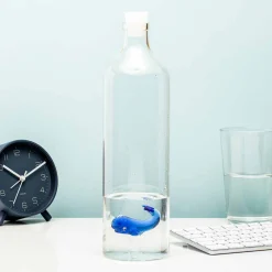 Ditverzinjeniet Duurzaam|Waterfles