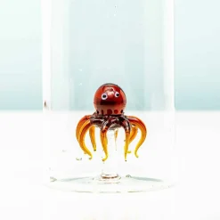 Ditverzinjeniet Duurzaam|Waterfles