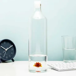 Ditverzinjeniet Duurzaam|Waterfles