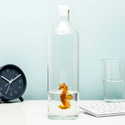 Ditverzinjeniet Duurzaam|Waterfles