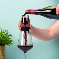 Ditverzinjeniet Borrelen|Wijn decanteerder