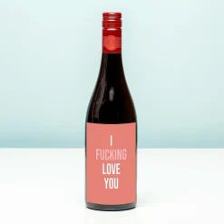 Ditverzinjeniet Wijnflessen|Borrelen|Wijnfles I fucking love you