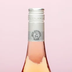 Ditverzinjeniet Wijnflessen|Borrelen|Wijnfles Mom is wow upside down