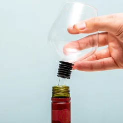 Ditverzinjeniet Borrelen|Wijnglas decanteerder