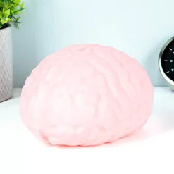 Ditverzinjeniet Kantoor|XXL hersenen stresstoy