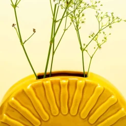 Ditverzinjeniet Vazen|Zon vaas